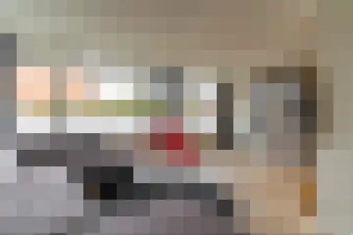 Désiré Leesensstraat 74 Maastricht thumbnail 8