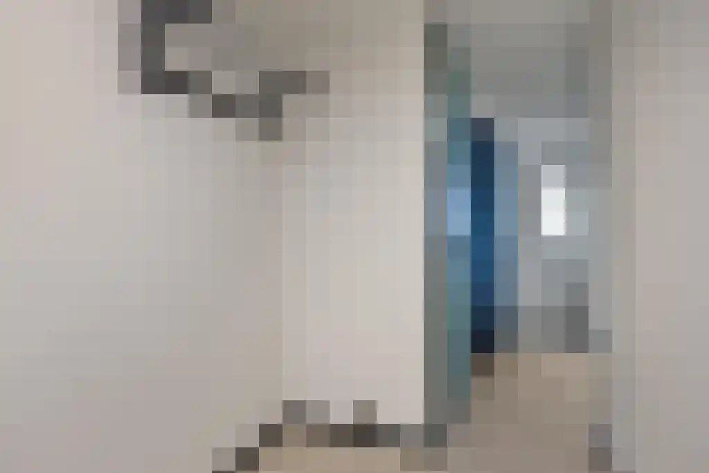 Desiree Geeraertstraat 10 b Baarle-Nassau thumbnail 6