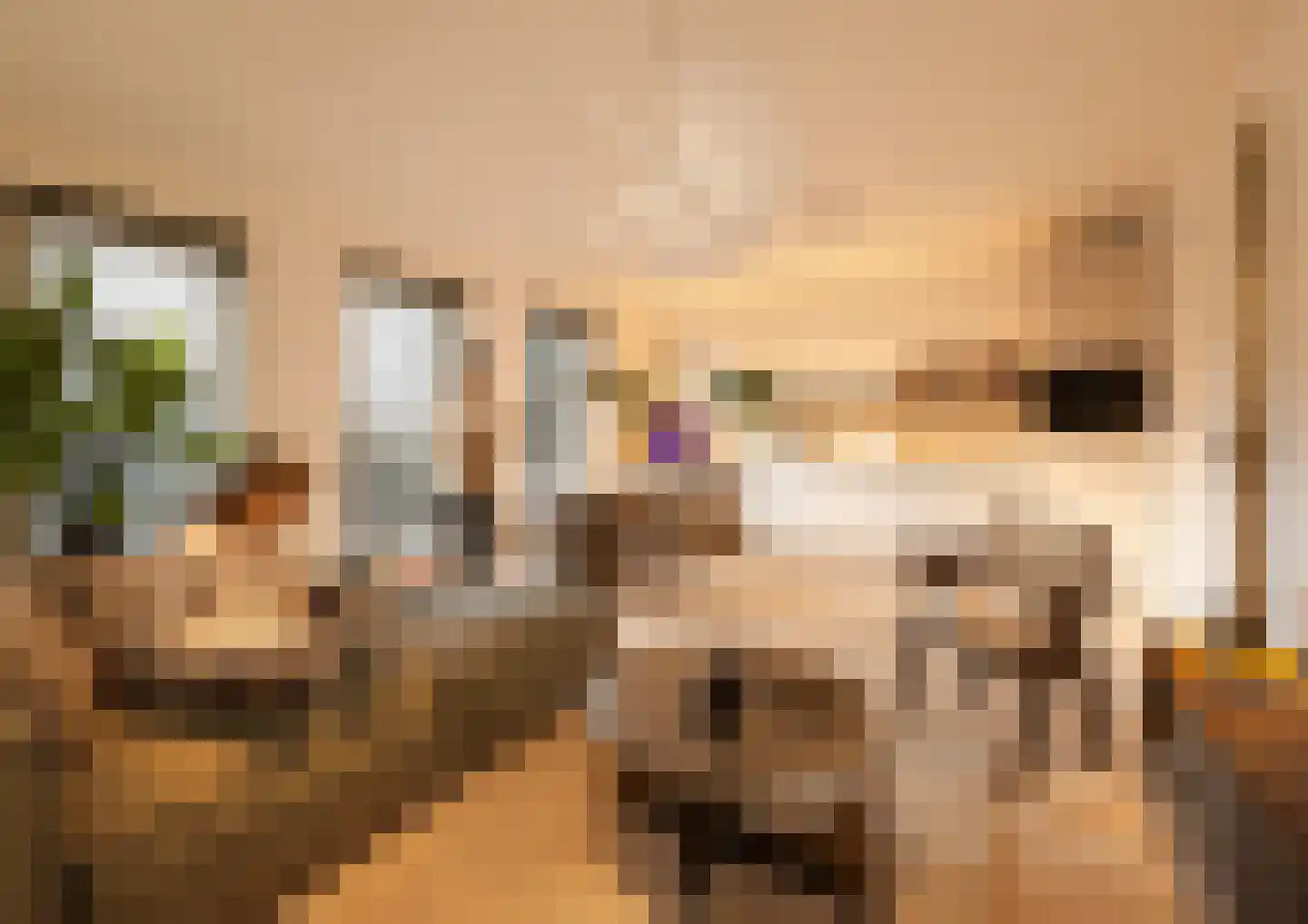 Desiree Geeraertstraat 5 d Baarle-Nassau thumbnail 8