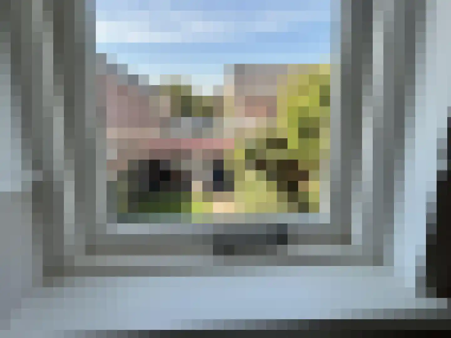 Desmijndijk 27 Roosendaal thumbnail 16