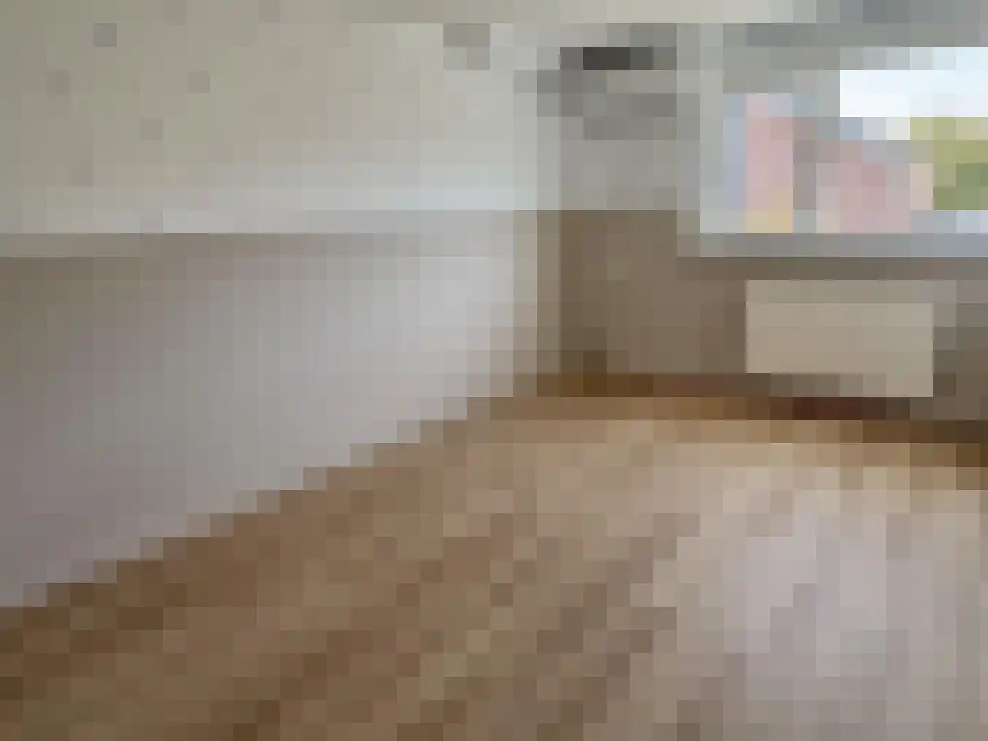 Desmijndijk 27 Roosendaal thumbnail 19