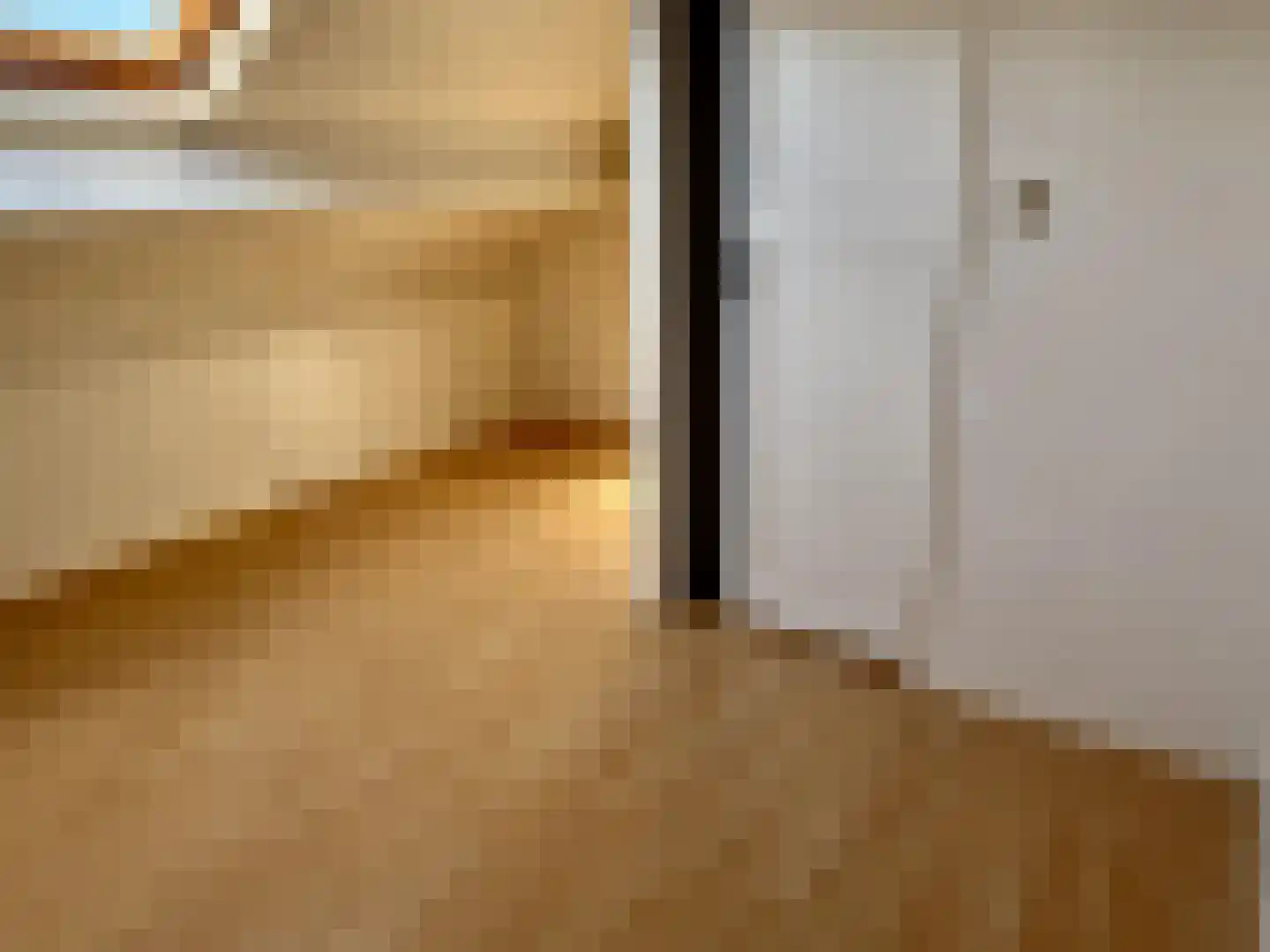Desmijndijk 27 Roosendaal thumbnail 29