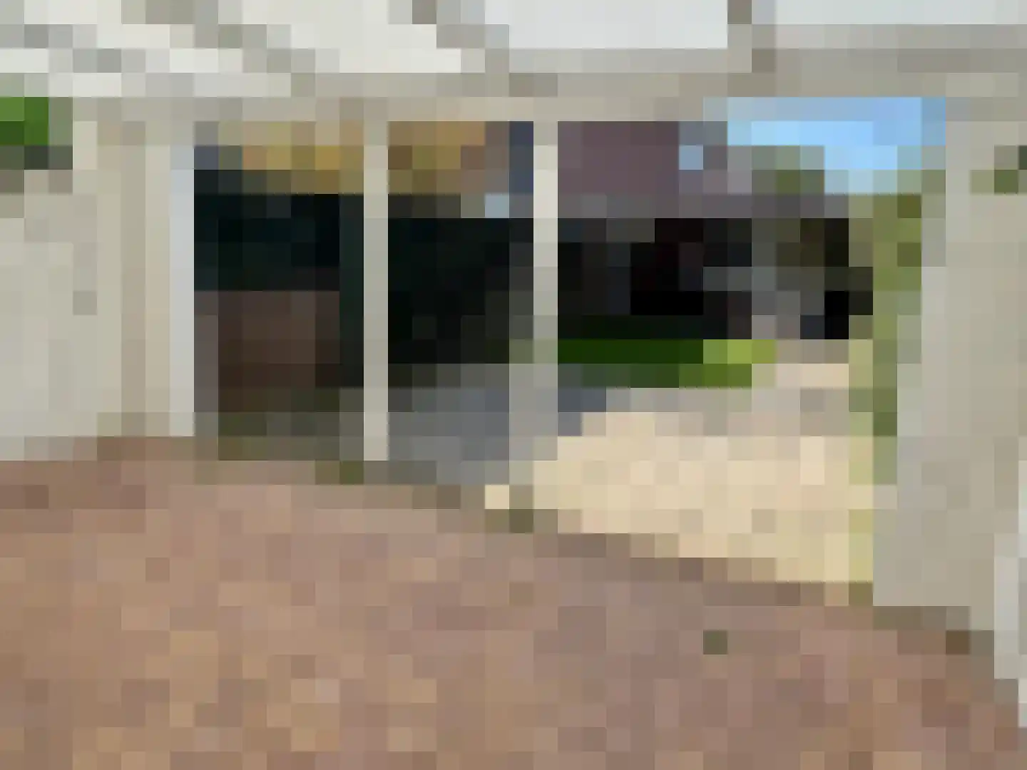 Desmijndijk 27 Roosendaal thumbnail 32