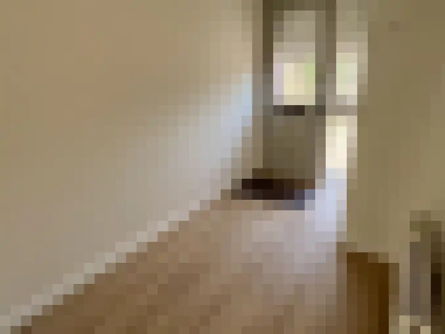 Desmijndijk 27 Roosendaal thumbnail 4
