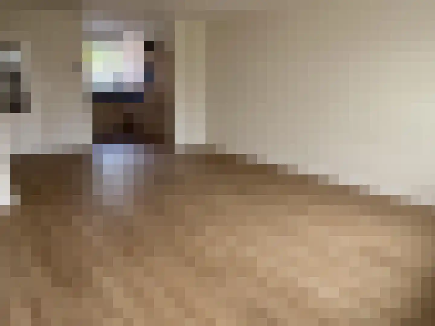 Desmijndijk 27 Roosendaal thumbnail 7
