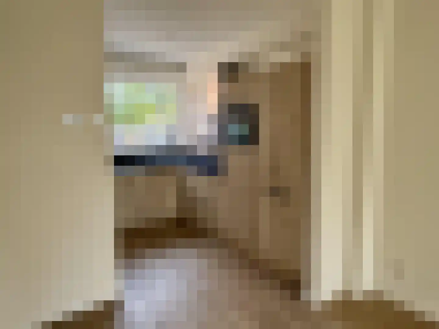 Desmijndijk 27 Roosendaal thumbnail 8