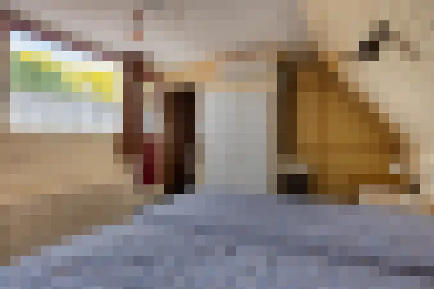 Desselaar 12 Oosterhout thumbnail 17