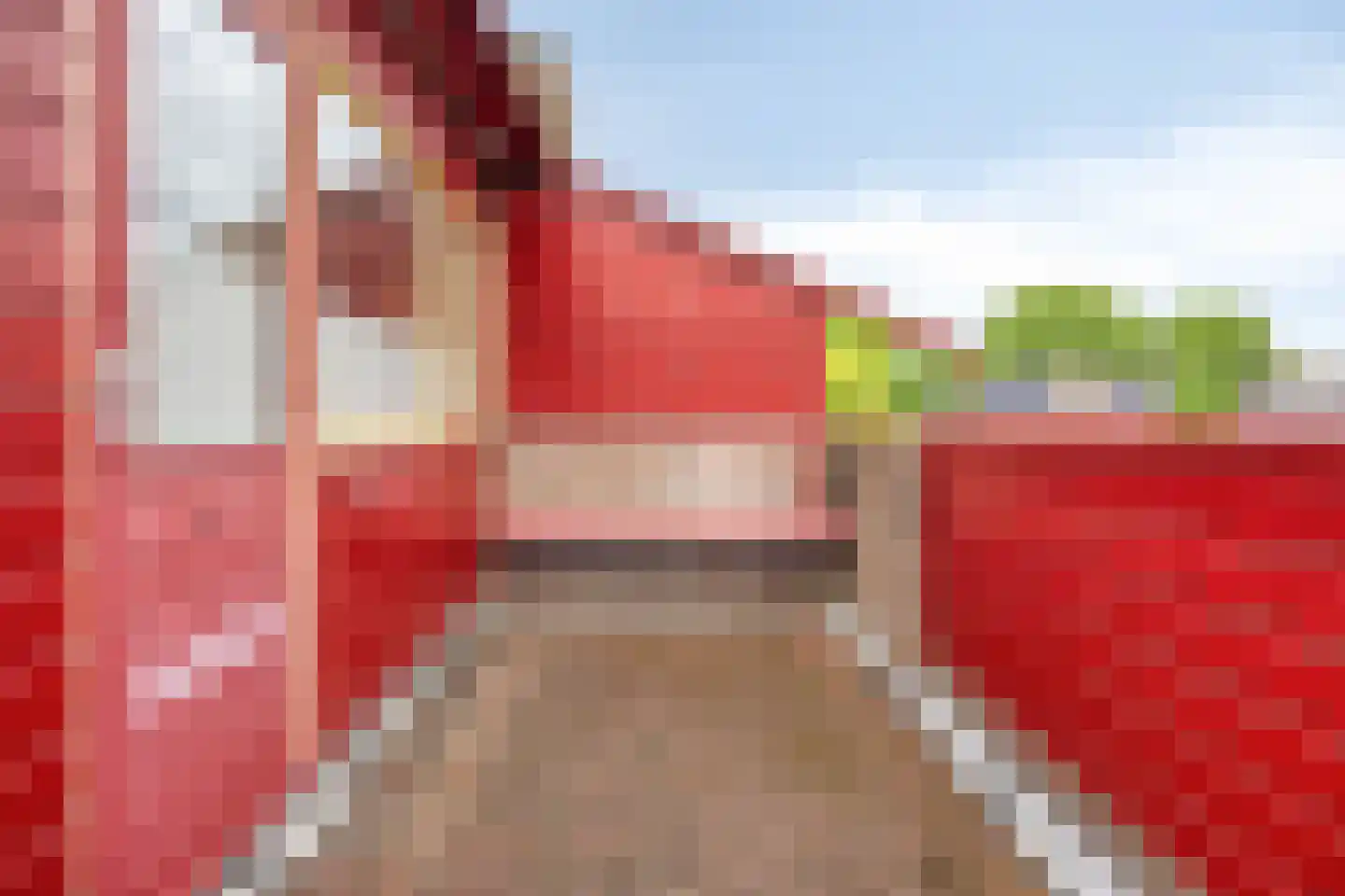 Desselaar 12 Oosterhout thumbnail 20