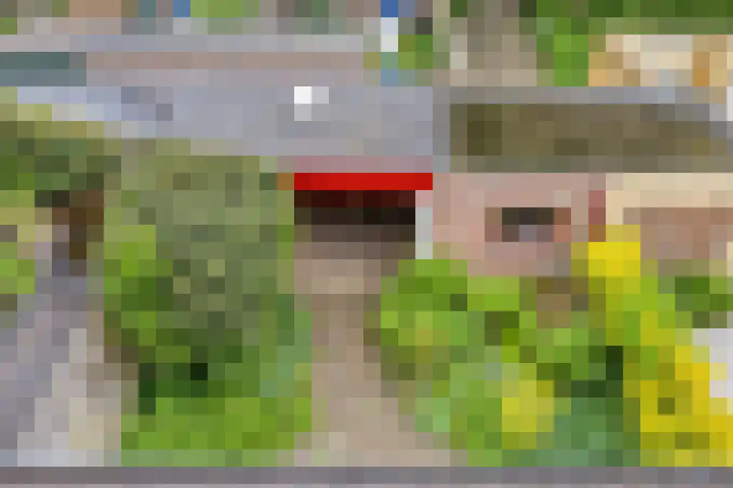 Desselaar 12 Oosterhout thumbnail 21