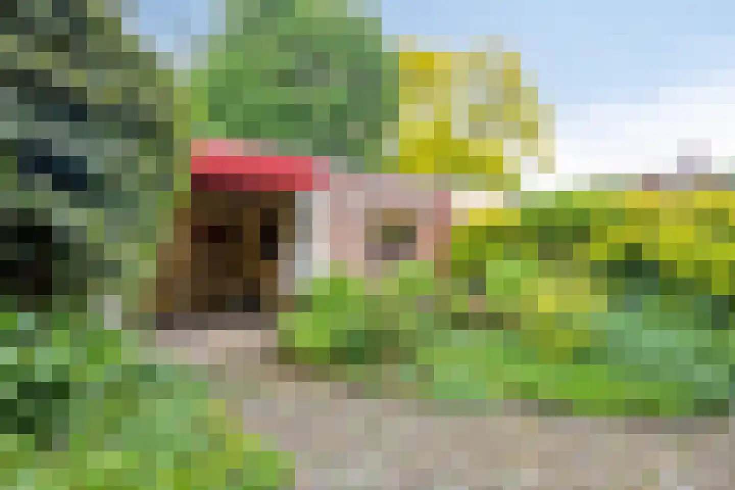 Desselaar 12 Oosterhout thumbnail 22