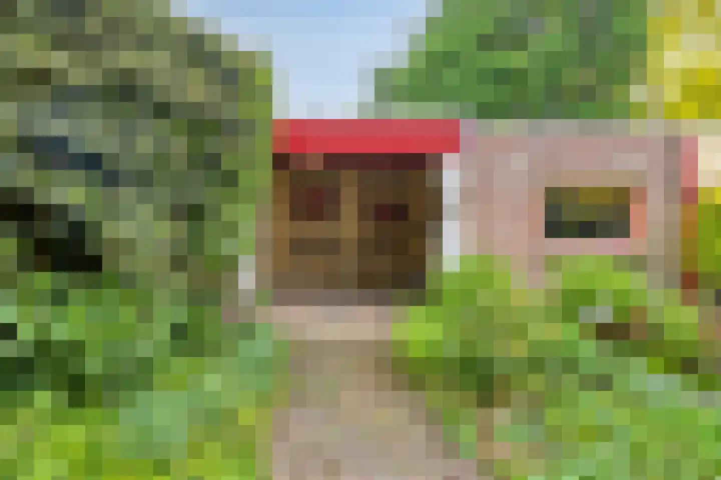 Desselaar 12 Oosterhout thumbnail 23