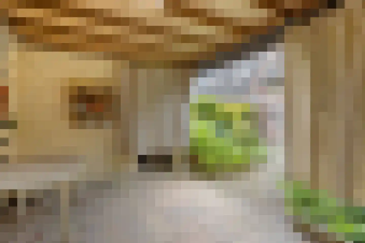 Desselaar 12 Oosterhout thumbnail 25