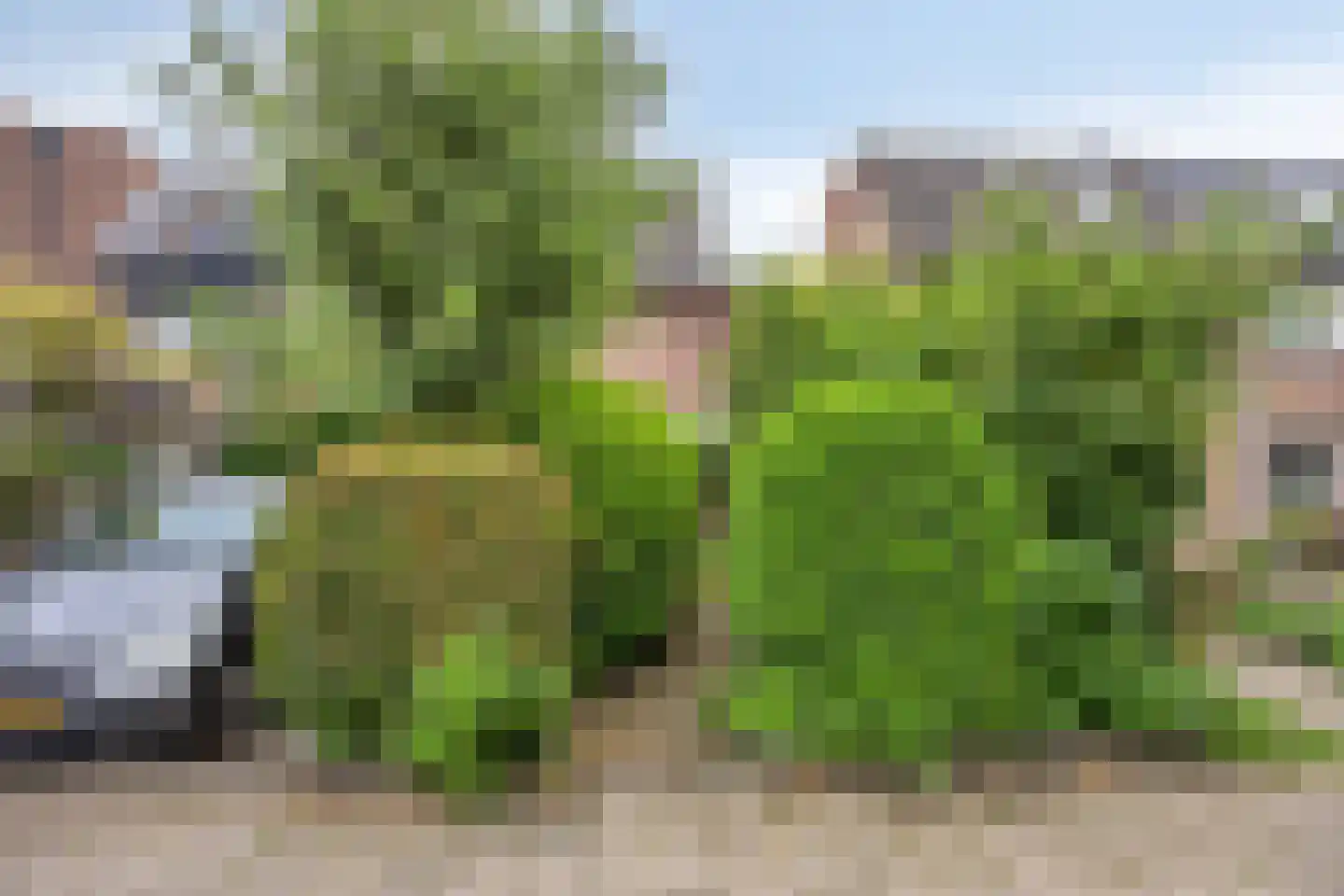 Desselaar 12 Oosterhout thumbnail 27