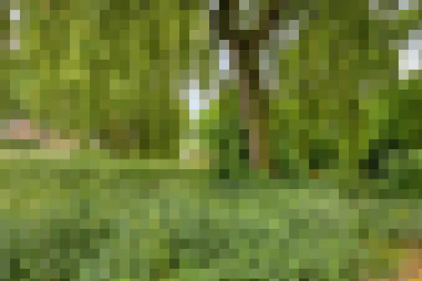 Desselaar 12 Oosterhout thumbnail 29