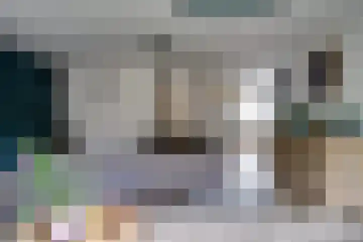 Desselaar 13 Oosterhout thumbnail 12