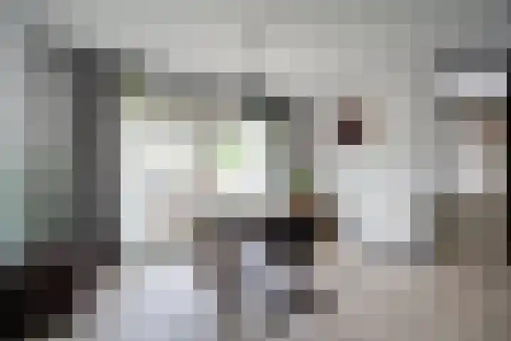 Desselaar 13 Oosterhout thumbnail 13