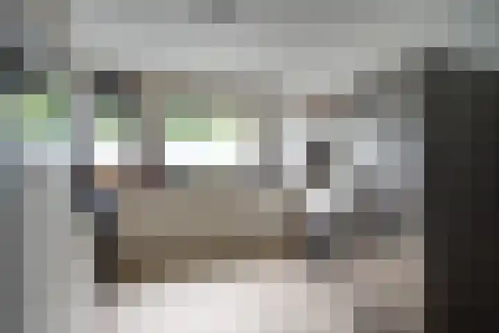 Desselaar 13 Oosterhout thumbnail 17