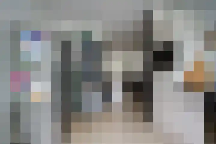 Desselaar 13 Oosterhout thumbnail 18
