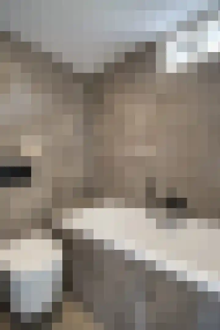 Desselaar 13 Oosterhout thumbnail 27