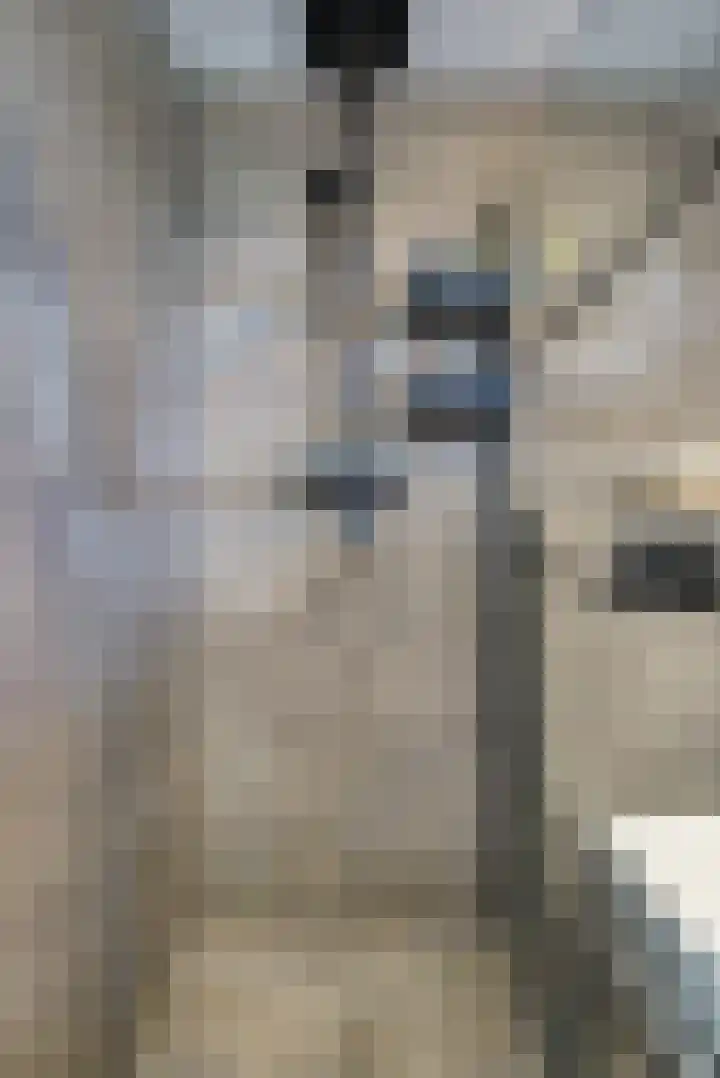 Desselaar 13 Oosterhout thumbnail 28