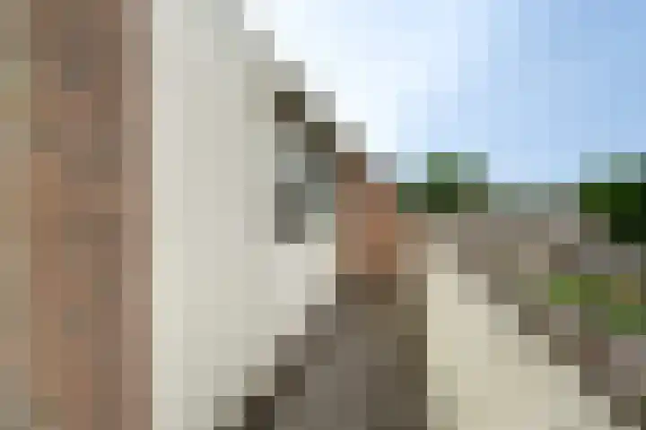 Desselaar 13 Oosterhout thumbnail 32