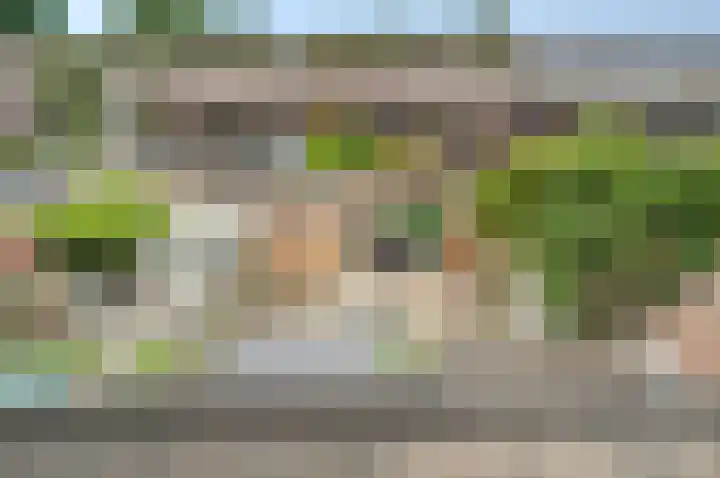 Desselaar 13 Oosterhout thumbnail 33