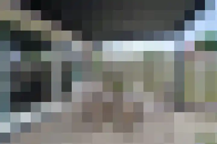 Desselaar 13 Oosterhout thumbnail 34