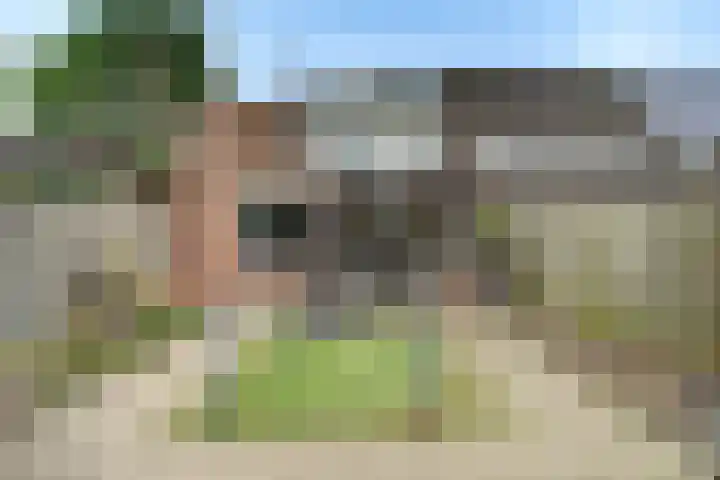 Desselaar 13 Oosterhout thumbnail 35