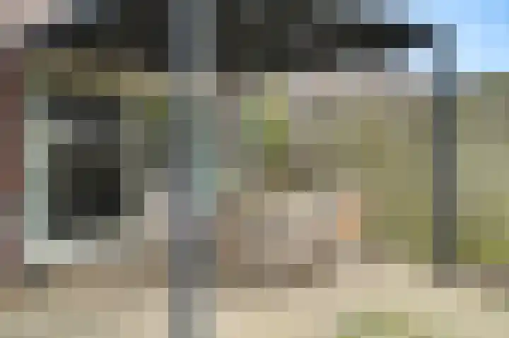 Desselaar 13 Oosterhout thumbnail 40