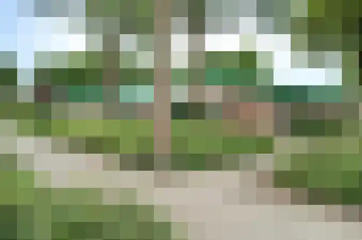 Desselaar 13 Oosterhout thumbnail 41