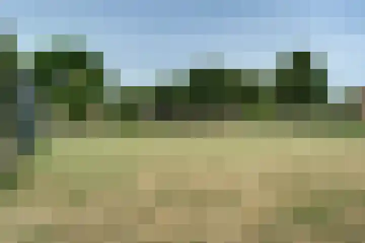 Desselaar 13 Oosterhout thumbnail 42