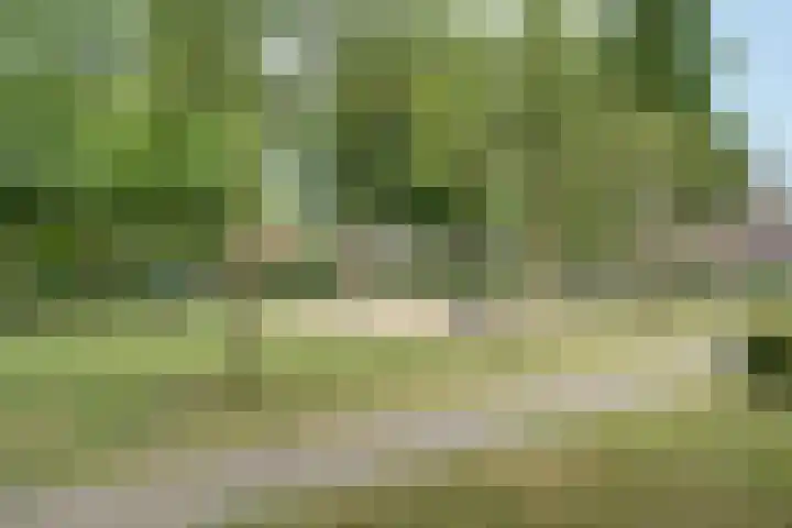 Desselaar 13 Oosterhout thumbnail 43