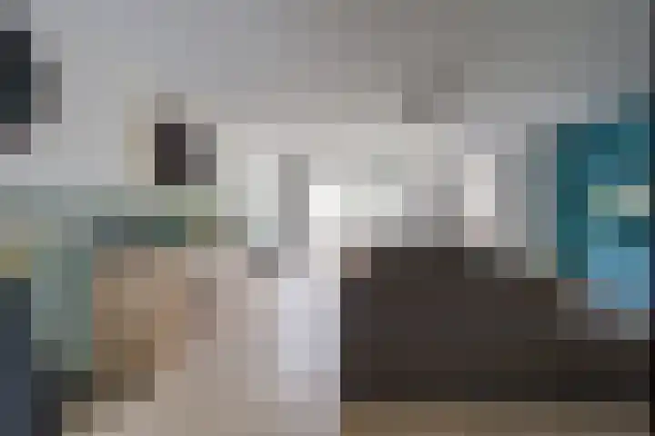 Desselaar 13 Oosterhout thumbnail 9