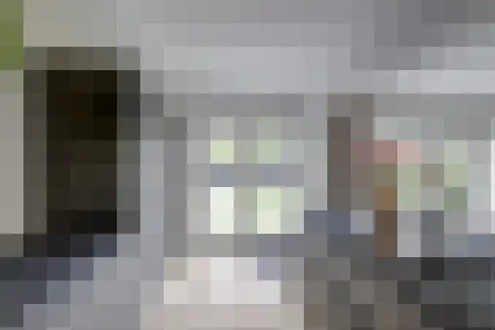 Desselaar 26 Oosterhout thumbnail 14