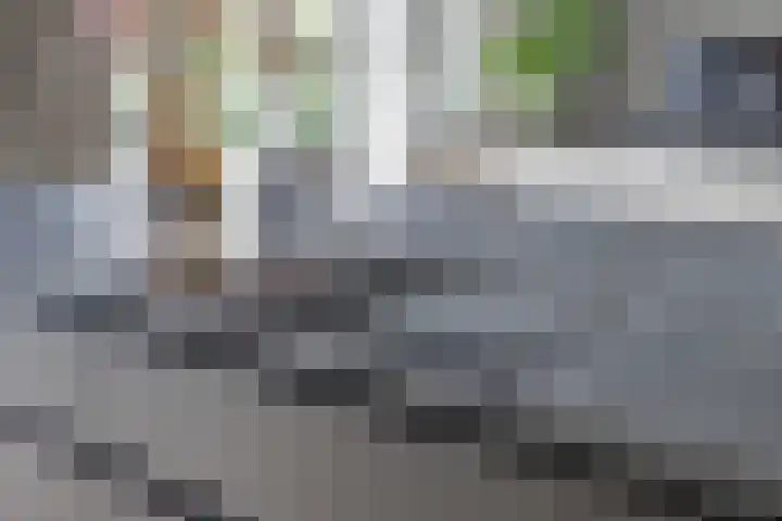 Desselaar 26 Oosterhout thumbnail 16