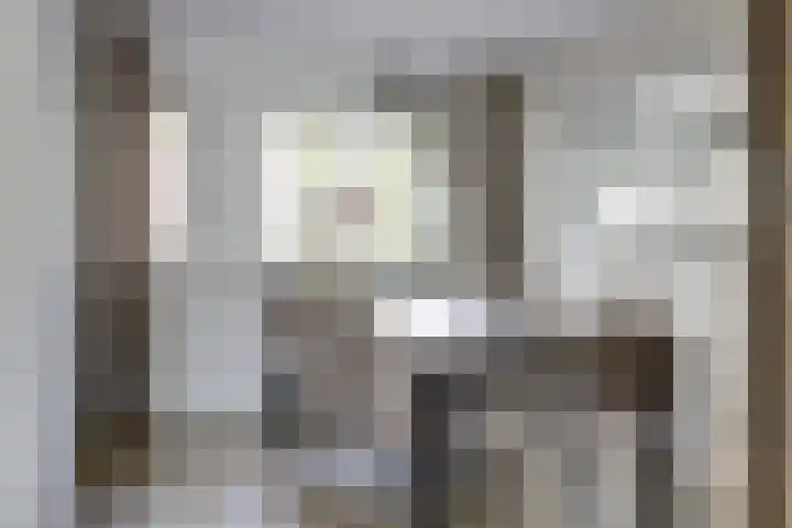 Desselaar 26 Oosterhout thumbnail 18