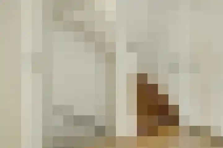 Desselaar 26 Oosterhout thumbnail 21