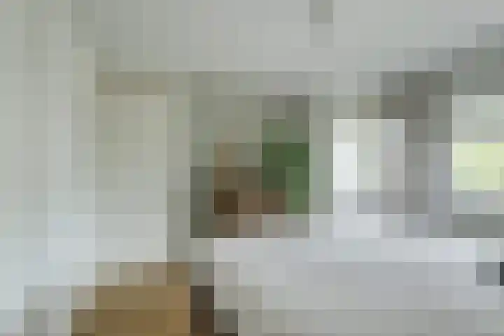Desselaar 26 Oosterhout thumbnail 23