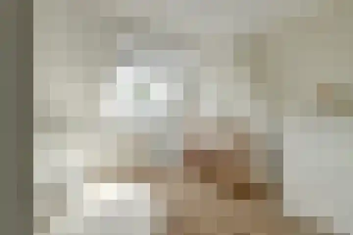 Desselaar 26 Oosterhout thumbnail 24