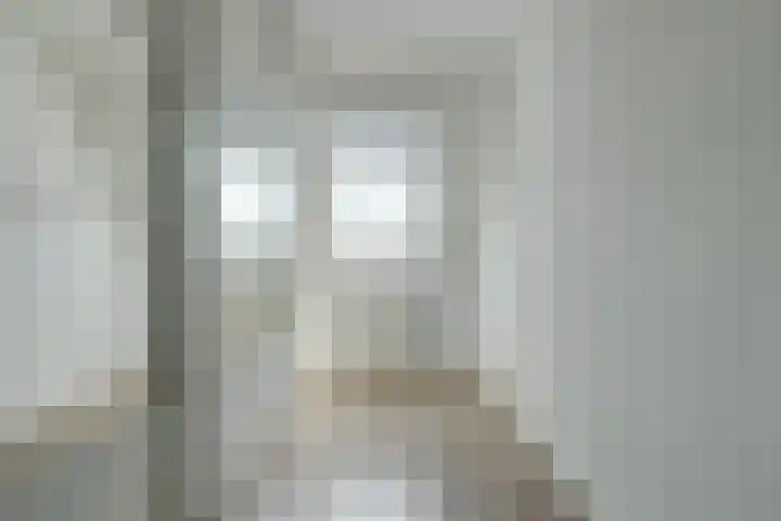 Desselaar 26 Oosterhout thumbnail 26