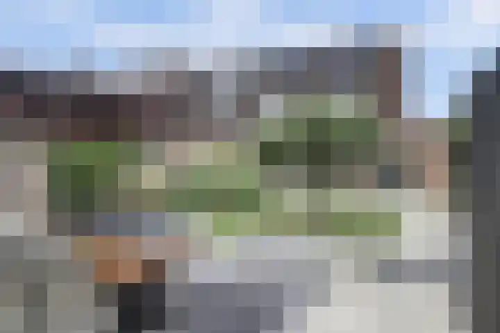 Desselaar 26 Oosterhout thumbnail 36