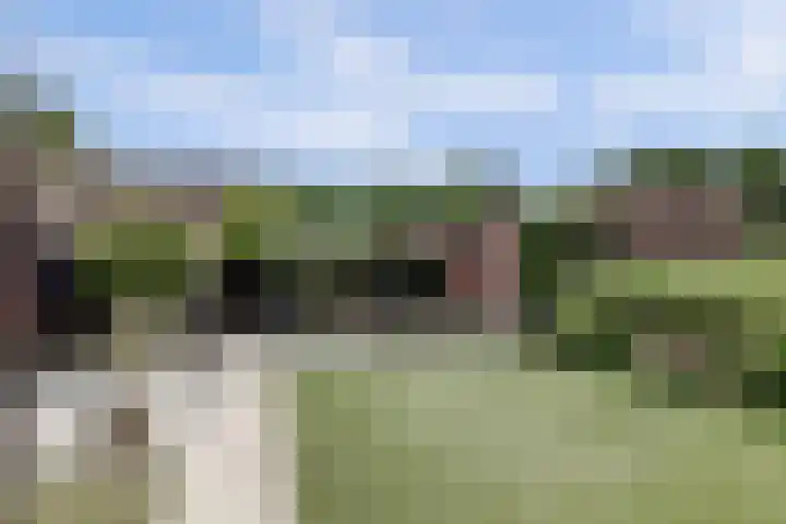 Desselaar 26 Oosterhout thumbnail 38
