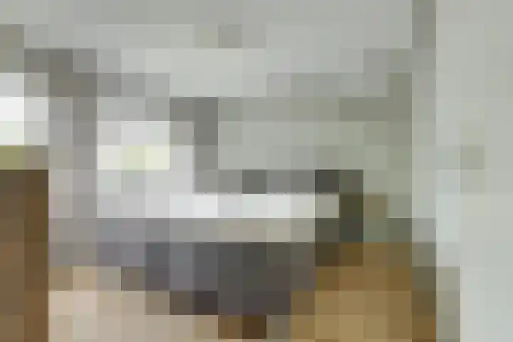 Desselaar 26 Oosterhout thumbnail 4