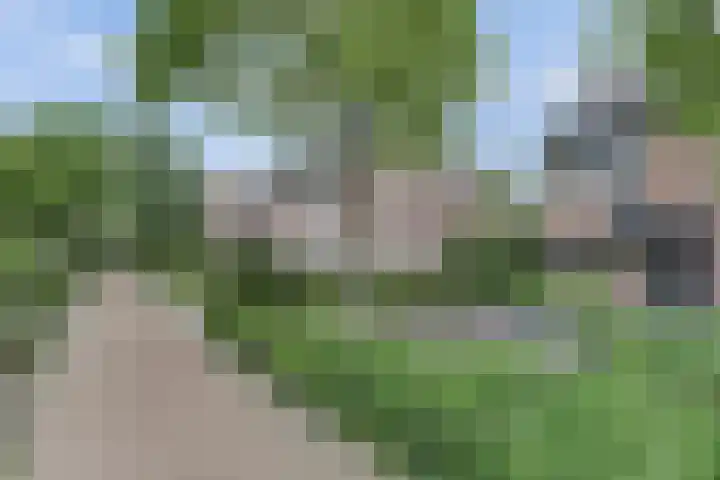 Desselaar 26 Oosterhout thumbnail 41