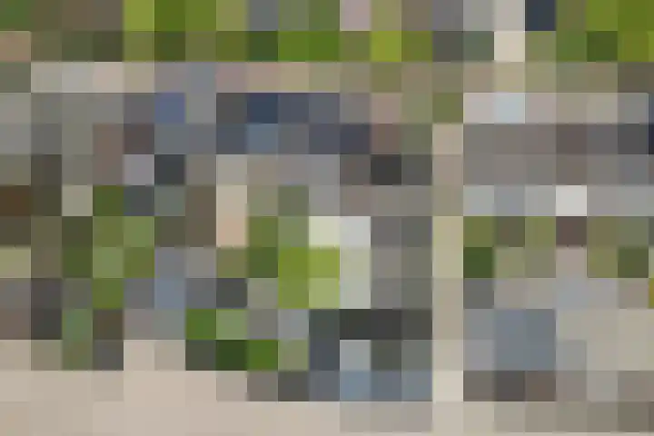 Desselaar 26 Oosterhout thumbnail 42