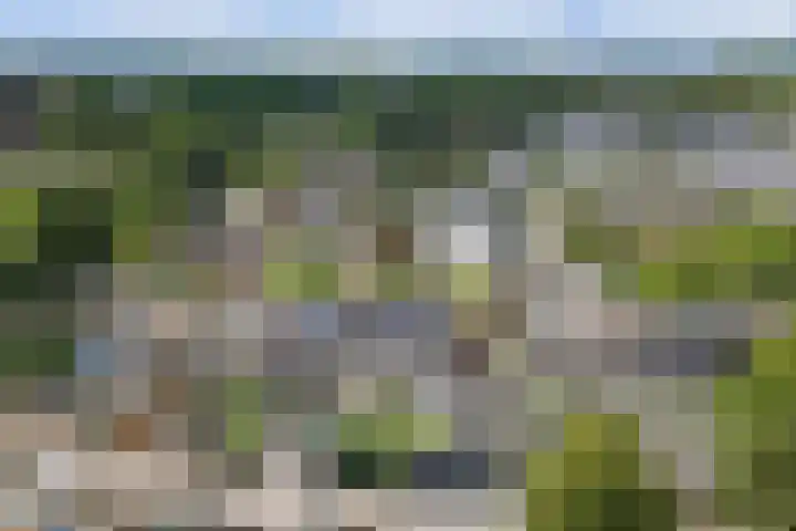 Desselaar 26 Oosterhout thumbnail 43