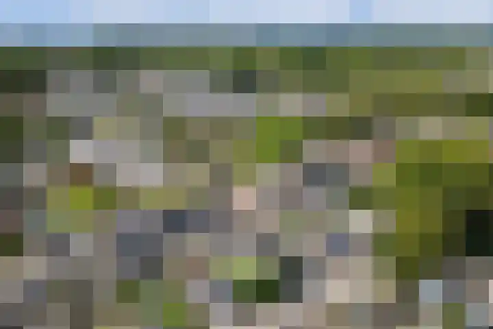 Desselaar 26 Oosterhout thumbnail 44
