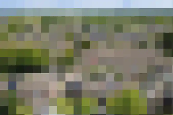 Desselaar 26 Oosterhout thumbnail 45