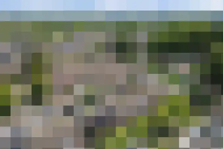Desselaar 26 Oosterhout thumbnail 46