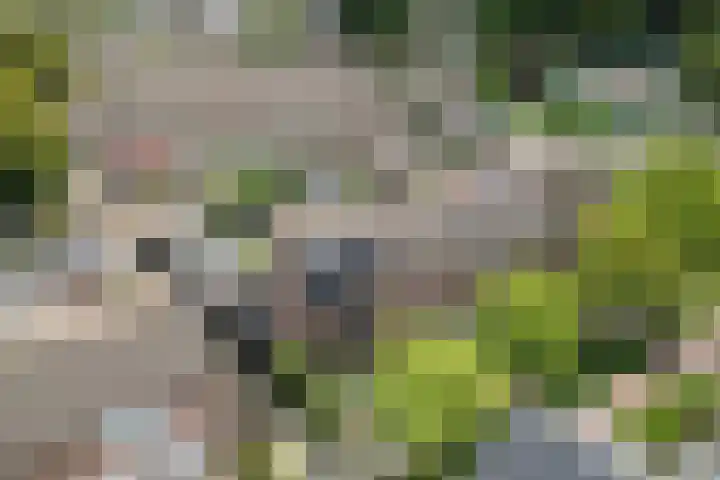 Desselaar 26 Oosterhout thumbnail 47